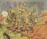 Vincent Van Gogh, Landscape with Three and a House (nn04)